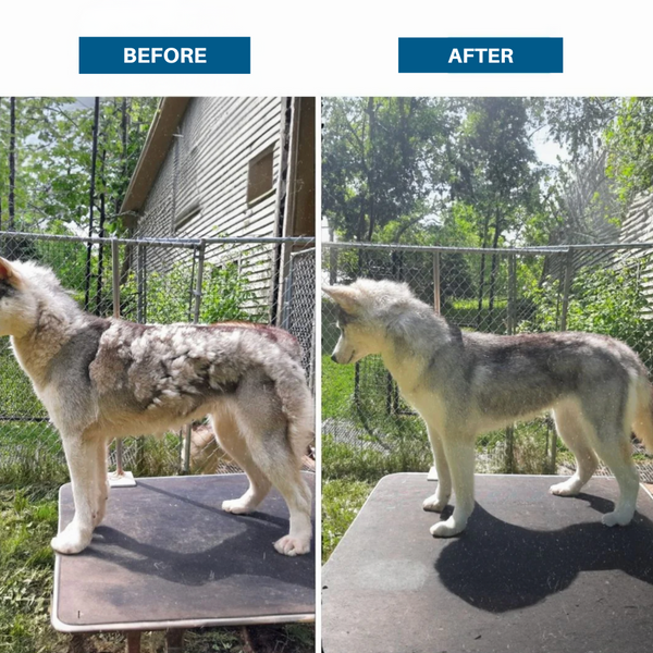 FurFix™ – Professional Deshedding Brush for Pets