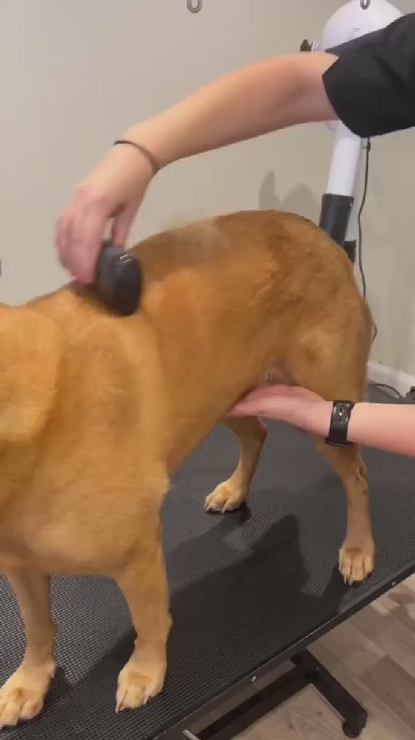 FurFix™ – Professional Deshedding Brush for Pets video