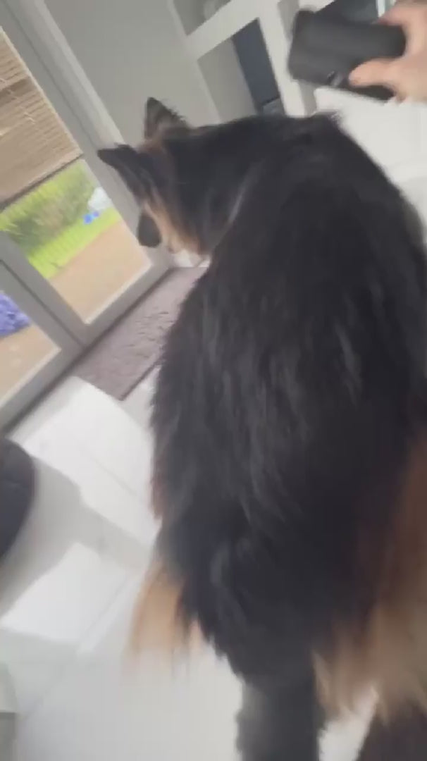FurFix™ – Professional Deshedding Brush for Pets video