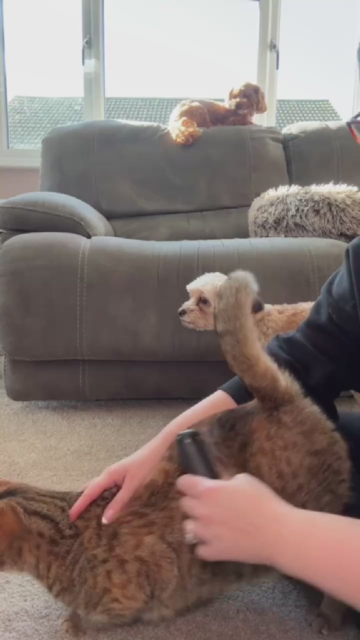 FurFix™ – Professional Deshedding Brush for Pets video